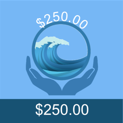 $250.00 Donation
